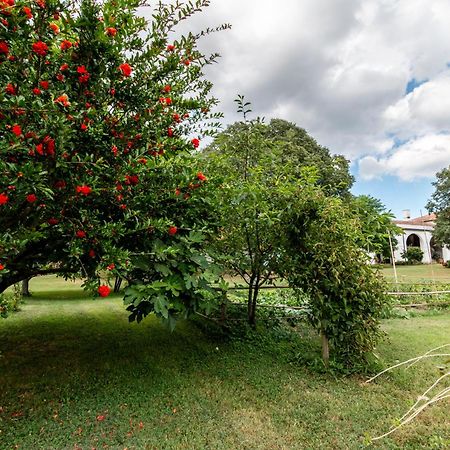 All'Ombra Del Bagolaro Taglio di Po Buitenkant foto
